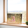 12" x 18" Canvas Print