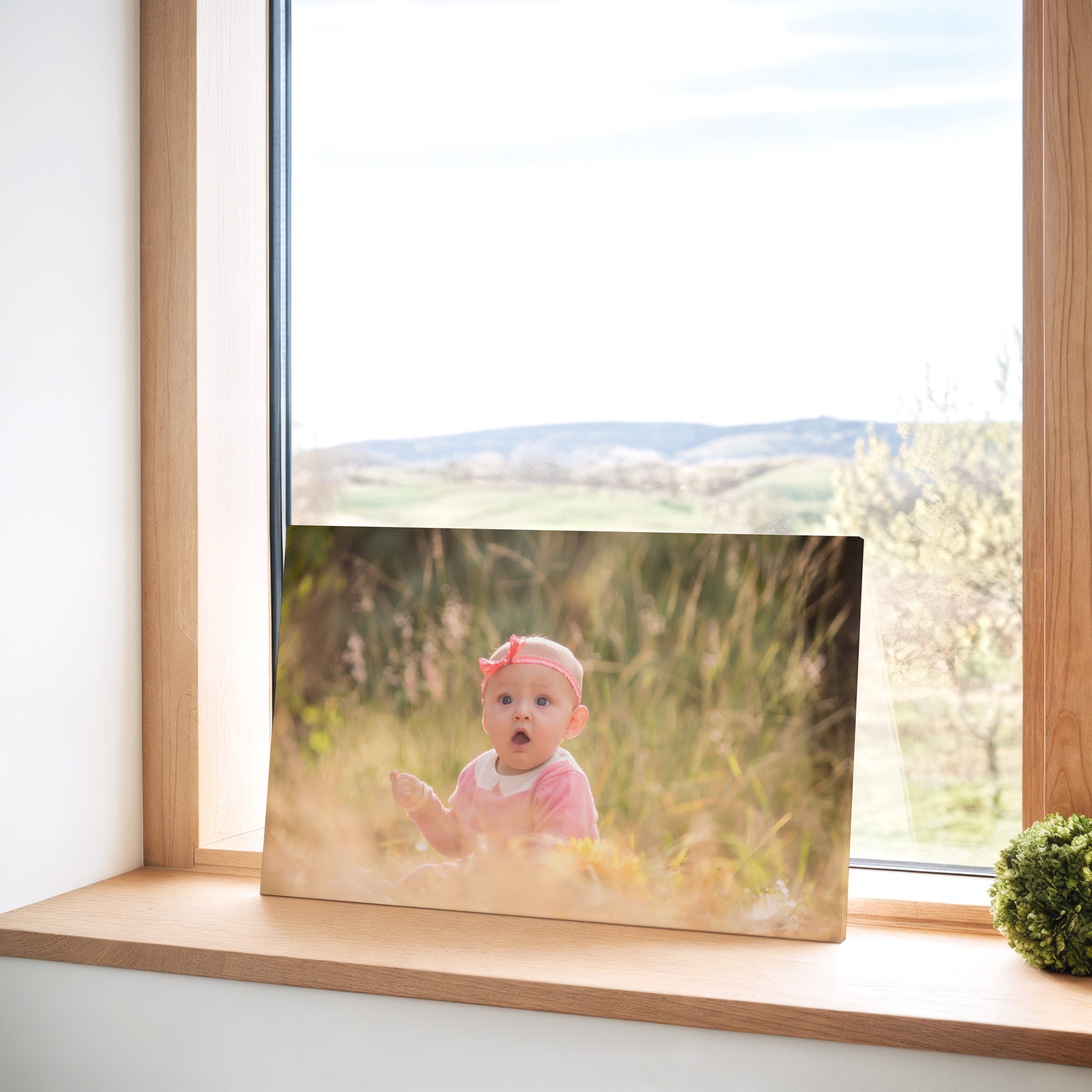 12" x 18" Canvas Print
