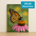 20" x 30" Metal Print image 0