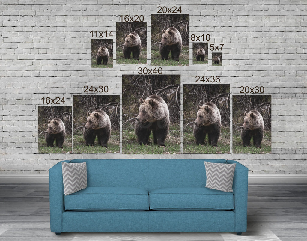 24" x 60" Canvas Print image 0