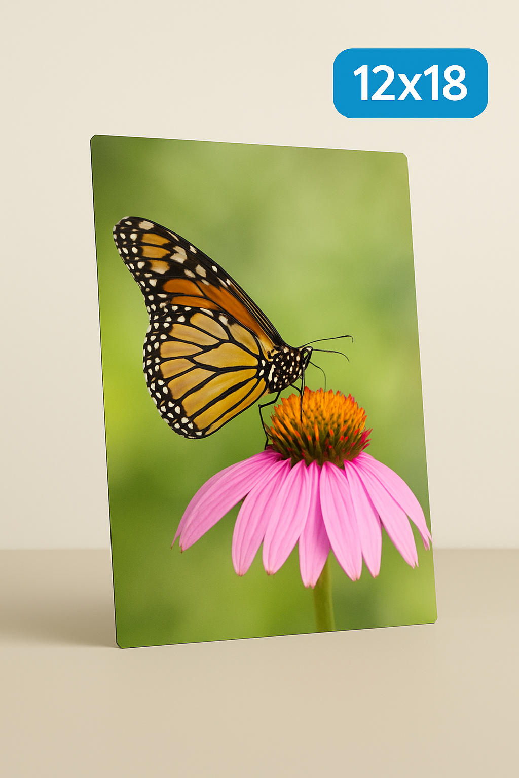 12" x 18" Metal Print image 0