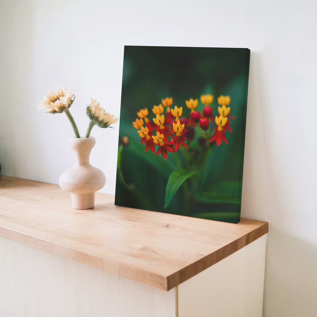 11" x 14" Canvas Print