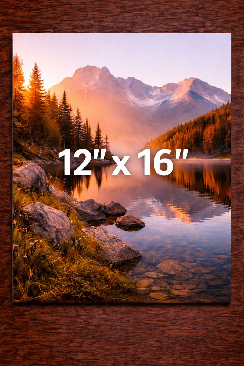 12" x 16" Print