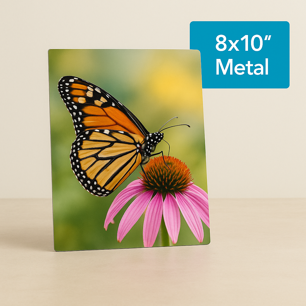 8" x 10" Metal Print image 0
